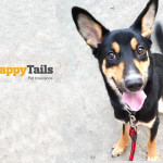 Happy Tails 2