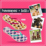 Havaianas