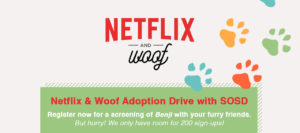 Netflix and Woof 190418 Banner