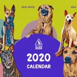 SOSD 2020 Calendars Banner